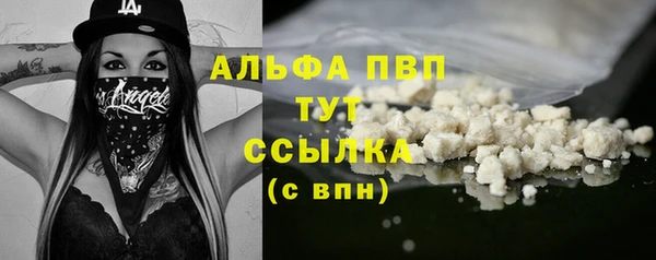 эйфоретик Новокубанск