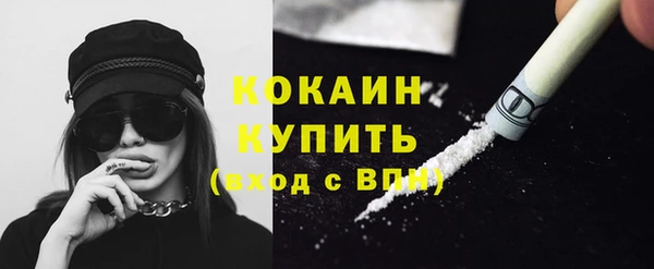 шишки Нягань