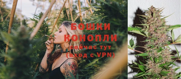 эйфоретик Новокубанск