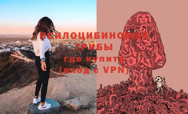 МДМА Новодвинск
