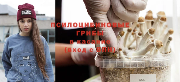 эйфоретик Новокубанск