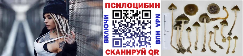 мега сайт  Отрадное  маркетплейс клад  Галлюциногенные грибы мицелий 