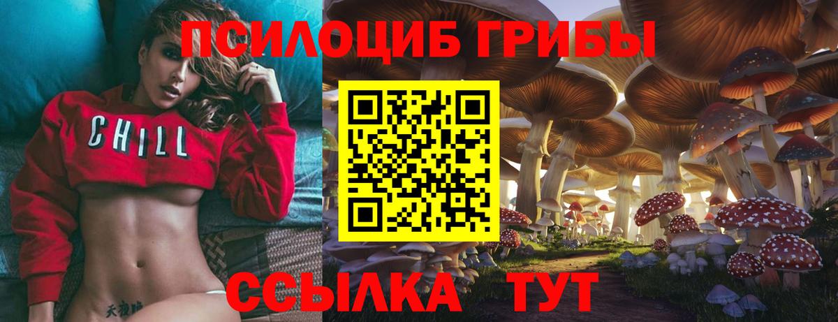 Отрадное  Псилоцибиновые грибы мухоморы  Вход с VPN 